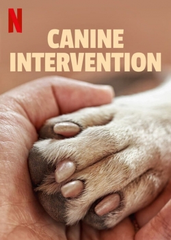 Watch Canine Intervention movies online free