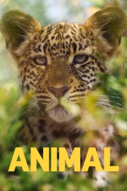 Watch Animal movies online free