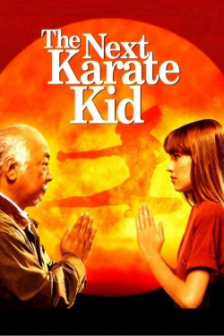 Watch The Next Karate Kid movies online free