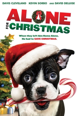 Watch Alone for Christmas movies online free