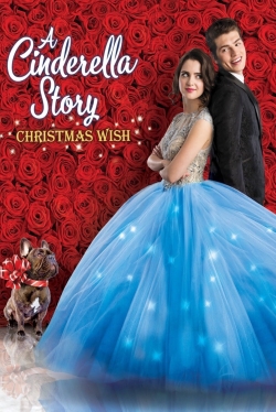 Watch A Cinderella Story: Christmas Wish movies online free