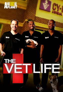 Watch The Vet Life movies online free