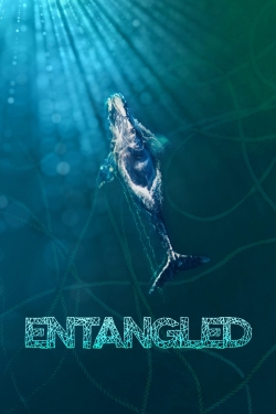 Watch Entangled: The Race to Save Right Whales from Extinction movies online free