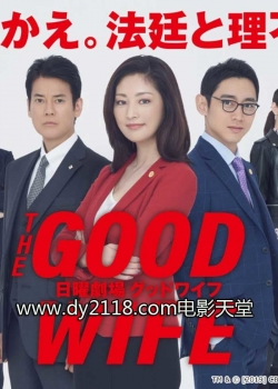 Watch The Good Wife movies online free