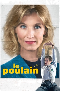 Watch Le Poulain movies online free