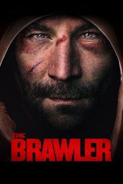 Watch The Brawler movies online free