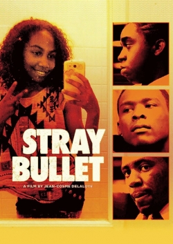 Watch Stray Bullet movies online free