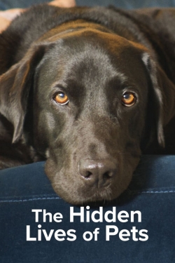 Watch The Hidden Lives of Pets movies online free