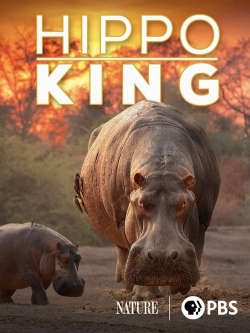 Watch Hippo King movies online free