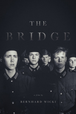 Watch The Bridge movies online free