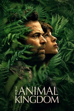 Watch The Animal Kingdom movies online free