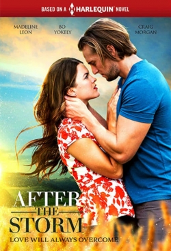 Watch After the Storm movies online free