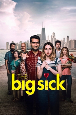 Watch The Big Sick movies online free