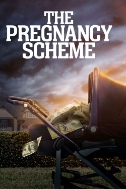 Watch The Pregnancy Scheme movies online free