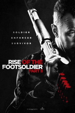 Watch Rise of the Footsoldier Part II movies online free