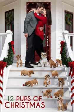 Watch 12 Pups of Christmas movies online free