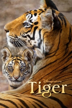 Watch Tiger movies online free