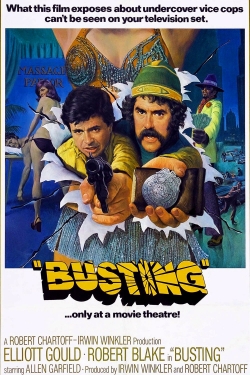 Watch Busting movies online free