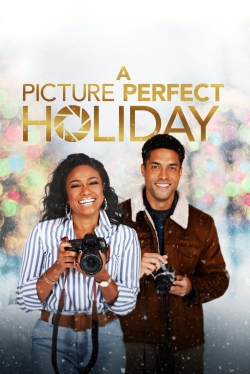 Watch A Picture Perfect Holiday movies online free