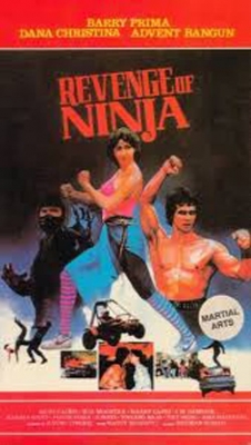 Watch Revenge of the Ninja movies online free