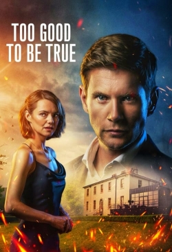 Watch Too Good To Be True movies online free