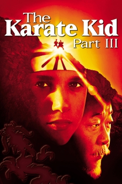 Watch The Karate Kid Part III movies online free