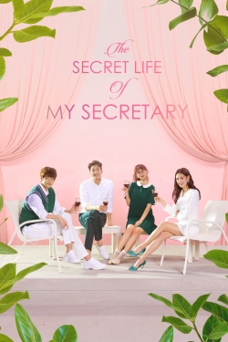 Watch The Secret Life of My Secretary movies online free