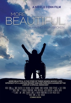 Watch More Beautiful for Having Been Broken movies online free