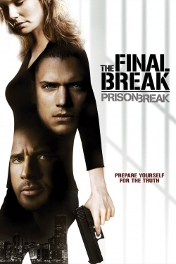 Watch Prison Break: The Final Break movies online free