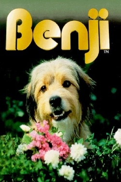 Watch Benji movies online free