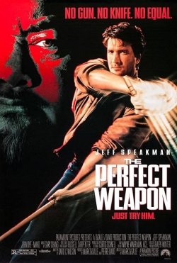 Watch The Perfect Weapon movies online free