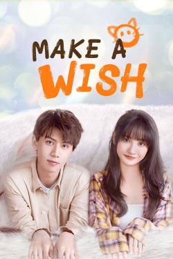 Watch Make a Wish movies online free