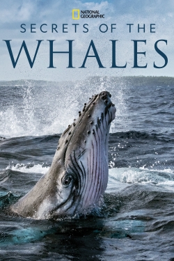 Watch Secrets of the Whales movies online free