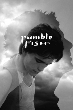 Watch Rumble Fish movies online free