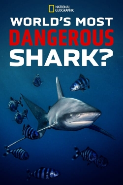 Watch World's Most Dangerous Shark? movies online free