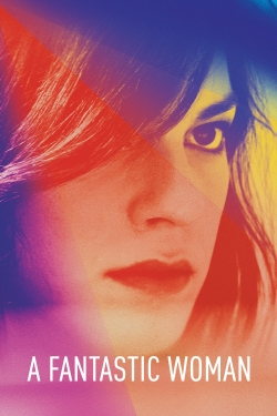 Watch A Fantastic Woman movies online free