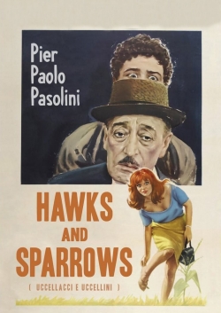 Watch Hawks and Sparrows movies online free