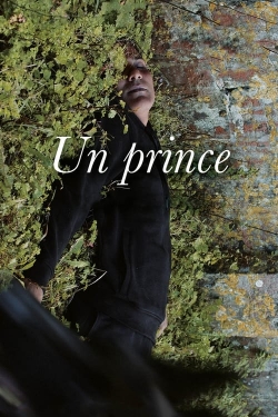 Watch A Prince movies online free