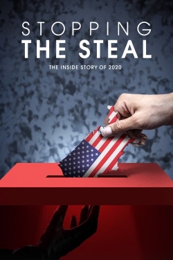 Watch Stopping the Steal movies online free