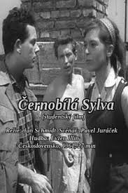 Watch Black and White Sylva movies online free