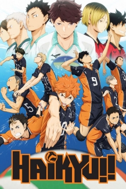 Watch Haikyu!! movies online free