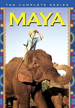 Watch Maya movies online free