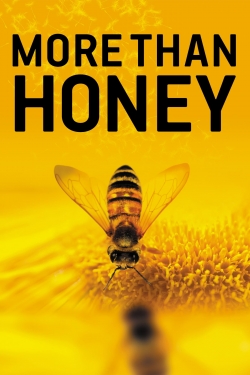 Watch More Than Honey movies online free