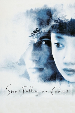 Watch Snow Falling on Cedars movies online free