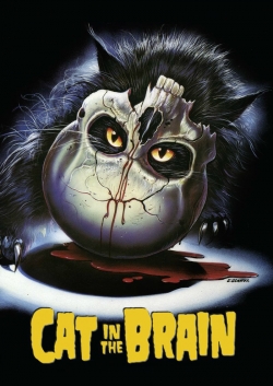 Watch A Cat in the Brain movies online free