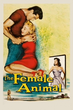 Watch The Female Animal movies online free