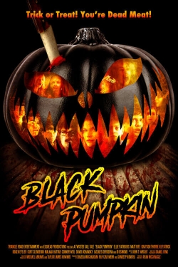 Watch Black Pumpkin movies online free