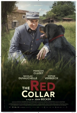 Watch The Red Collar movies online free