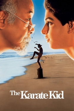 Watch The Karate Kid movies online free