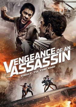 Watch Vengeance of an Assassin movies online free